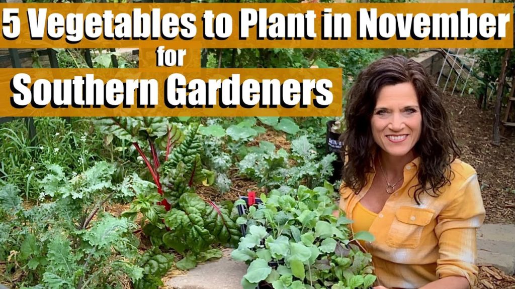 5 Vegetables to Plant in November for Southern Gardeners - It’s Not Too Late! 👩🏻‍🌾