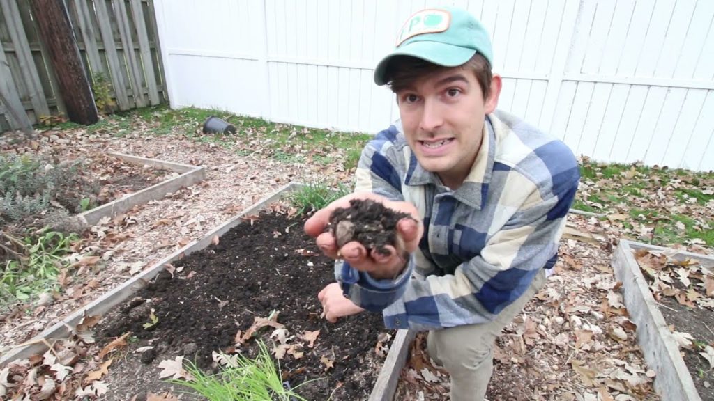 This Method of Planting Onions Could Be a Game Changer!