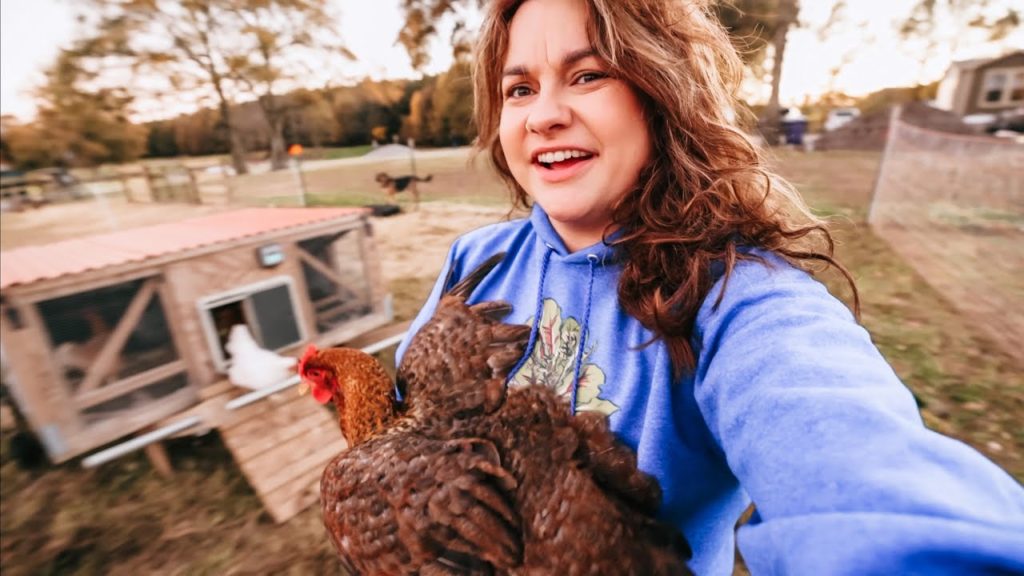 Backyard chickens stopped laying? | Common Problems and Solutions