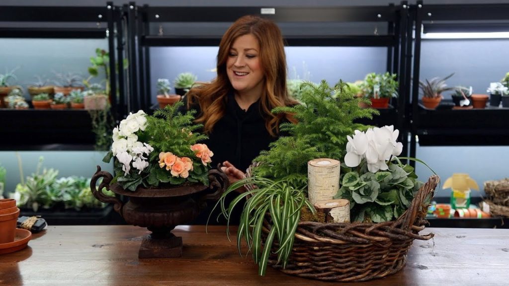 Garden Answer: Putting Together Two Easy Winter Centerpieces! 💚🌿🌲 // Garden Answer Putting Together Two Easy Winter Centerpieces! 💚🌿🌲 // Garden Answer