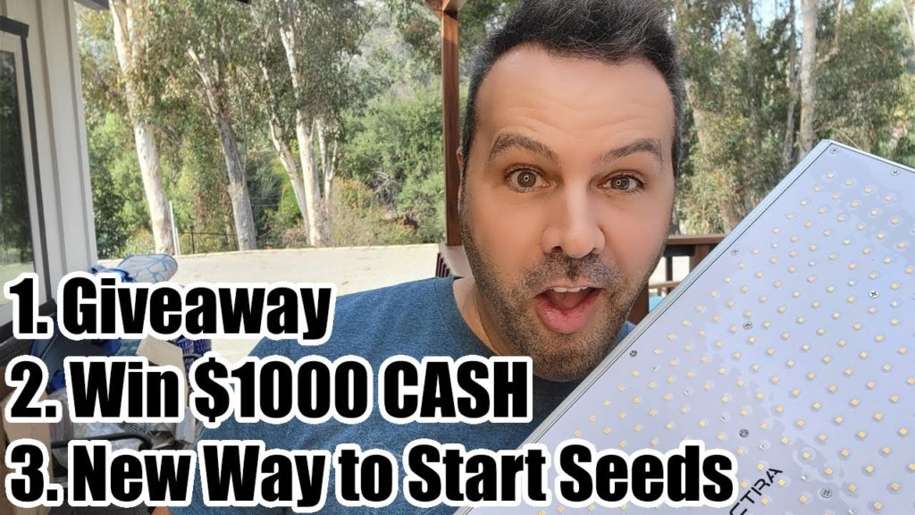 California Garden TV: A New Way to Start Seeds // Grow Light Discounts and Giveaway // Win $1000 Cash! A New Way to Start Seeds // Grow Light Discounts and Giveaway // Win $1000 Cash!