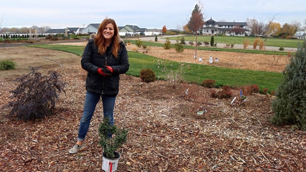 Garden Answer: Still Planting in November!!! 🌿💚🙌 // Garden Answer Still Planting in November!!! 🌿💚🙌 // Garden Answer