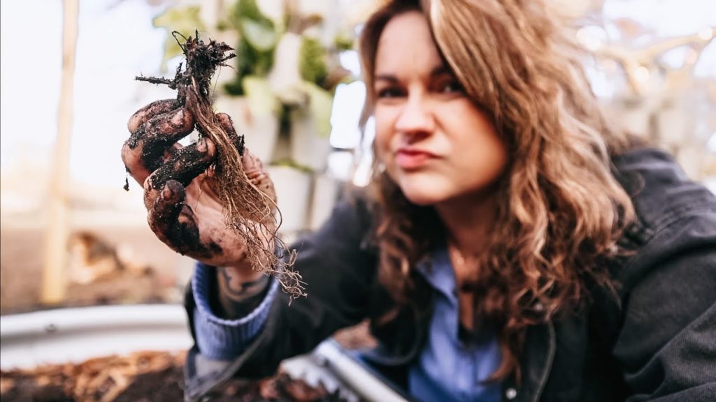 Roots and Refuge Farm: Oops, I messed up (Time to do some gardening) | VLOG Oops, I messed up (Time to do some gardening) | VLOG