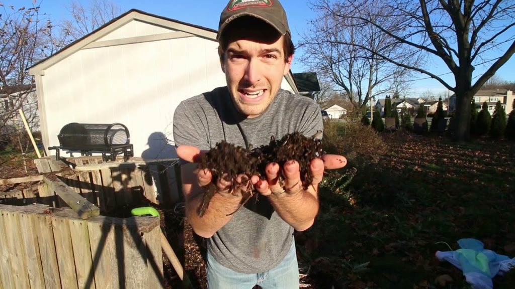 How To Compost Like a Pro!