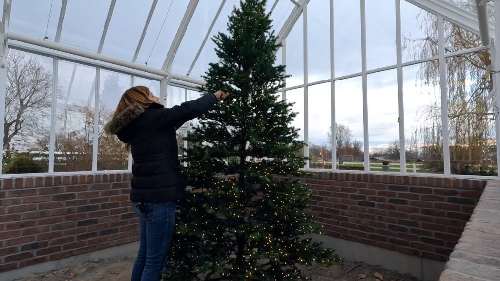 Hartley Christmas Tree, New Caladiums & Installing Bird Feeders! 🎄🌿🐦 // Garden Answer