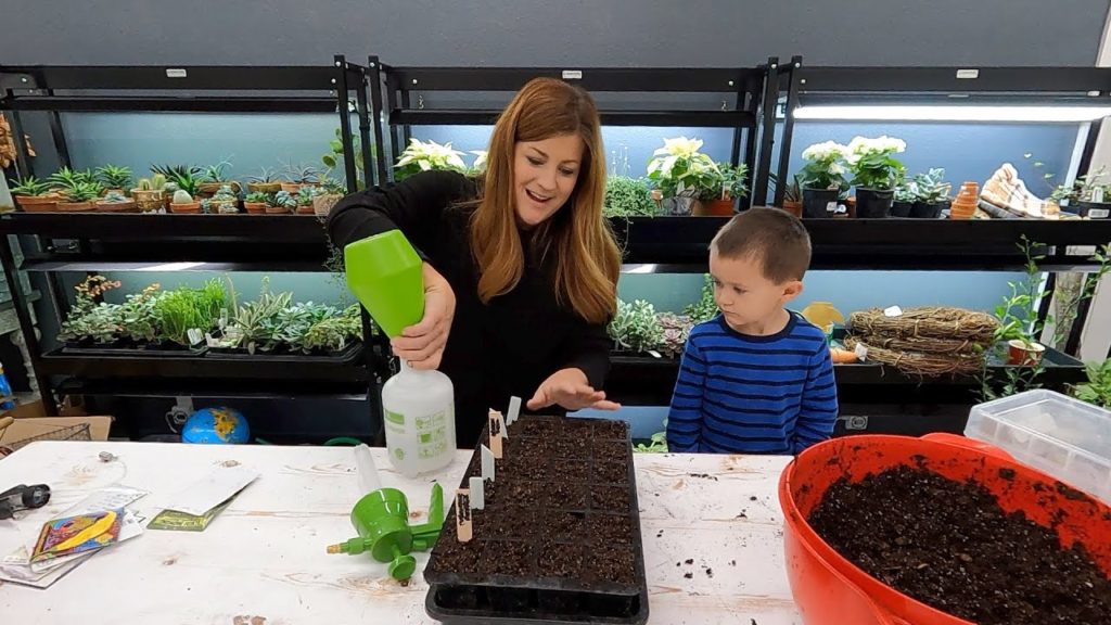 Starting Seeds, Potting Amaryllis & Rooting Tradescantia! 🥰🌱🙌 // Garden Answer