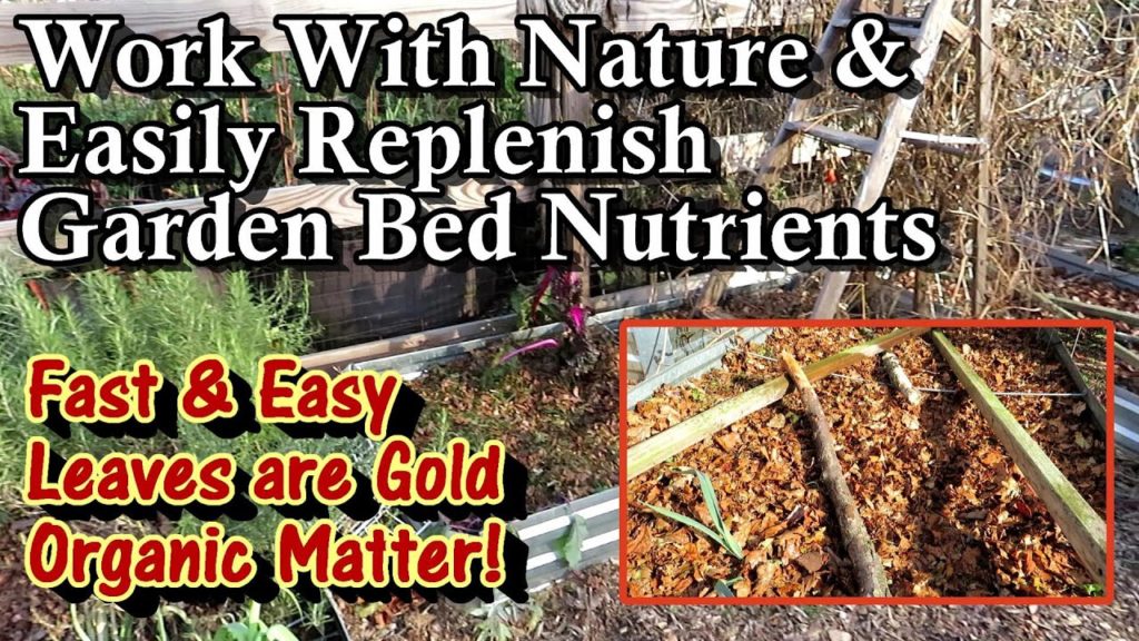 Gary Pilarchik: A Simple & Easy Way to Put Any Garden Bed to Sleep and Replenish Nutrients: Winter Garden Chores! A Simple & Easy Way to Put Any Garden Bed to Sleep and Replenish Nutrients: Winter Garden Chores!