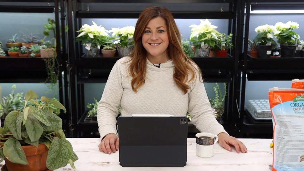 Garden Answer Highlights: Did You And Your Mom Go Foraging This Year? // How Do You Get Sap Off Your Hands? // Recap 🌿 Did You And Your Mom Go Foraging This Year? // How Do You Get Sap Off Your Hands? // Recap 🌿