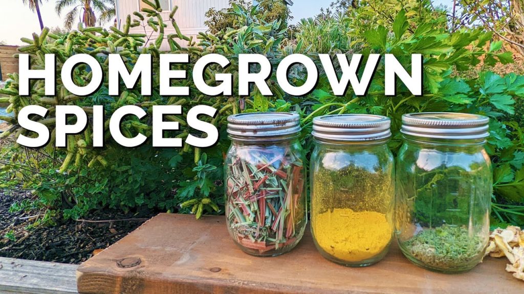 Epic Gardening: How to Dehydrate Herbs and Make Your Own Spices How to Dehydrate Herbs and Make Your Own Spices