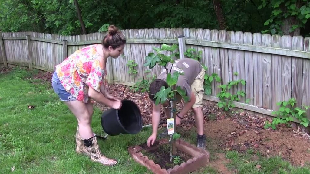 MIgardener: 5 years of changed lives 5 years of changed lives