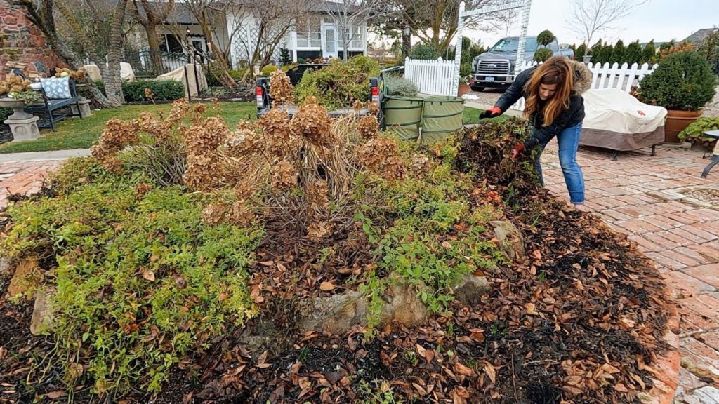Garden Answer: Decorating a Tree at The Children’s Relief Nursery + Flower Bed Cleanup! 🎄🌿❤️ // Garden Answer Decorating a Tree at The Children’s Relief Nursery + Flower Bed Cleanup! 🎄🌿❤️ // Garden Answer