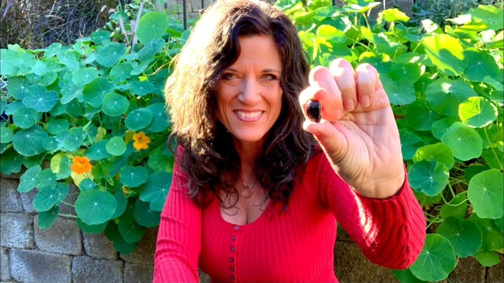 🍅LIVE:  5 Tips for Seed Starting Indoors on a Budget for Spring Vegetable Garden (REPLAY)