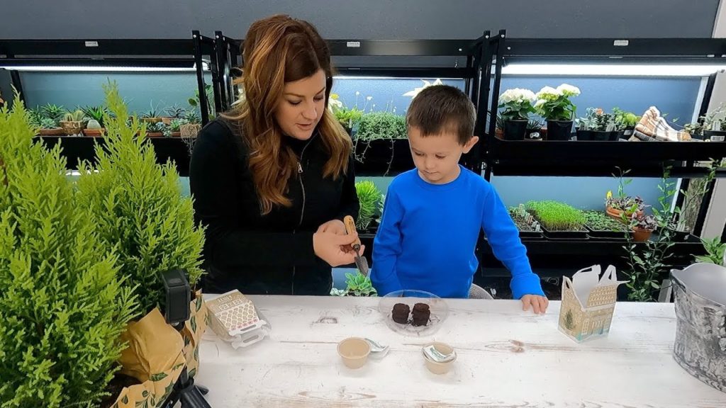 Garden Answer: Planting Spruce & Peppermint Seeds + Cypress & Amaryllis Repotting + Flower Arrangement! 😁🌿🙌 Planting Spruce & Peppermint Seeds + Cypress & Amaryllis Repotting + Flower Arrangement! 😁🌿🙌