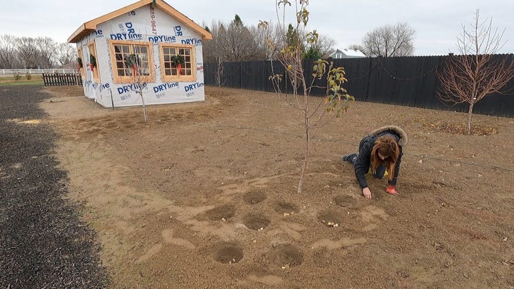 Planting 1,400 Bulbs in December! 😱🌷😄 // Garden Answer