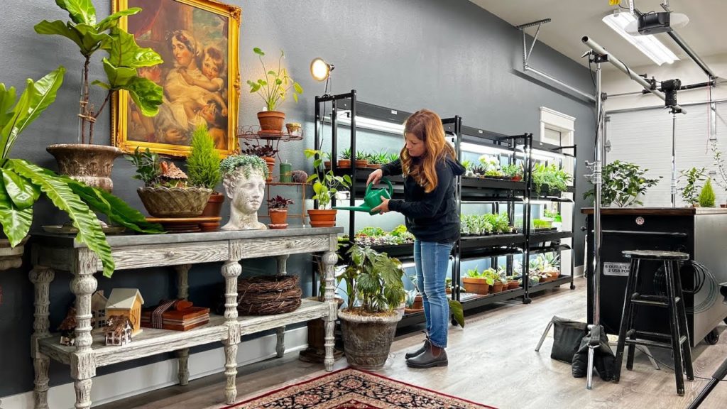 Organizing the Studio + Plant Tour! 🌿✅👍 // Garden Answer