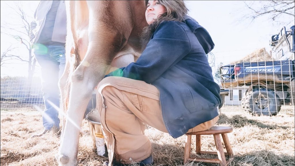 An Emergency Hospital Visit for Ben (& Making Roots and Refuge History) | VLOG