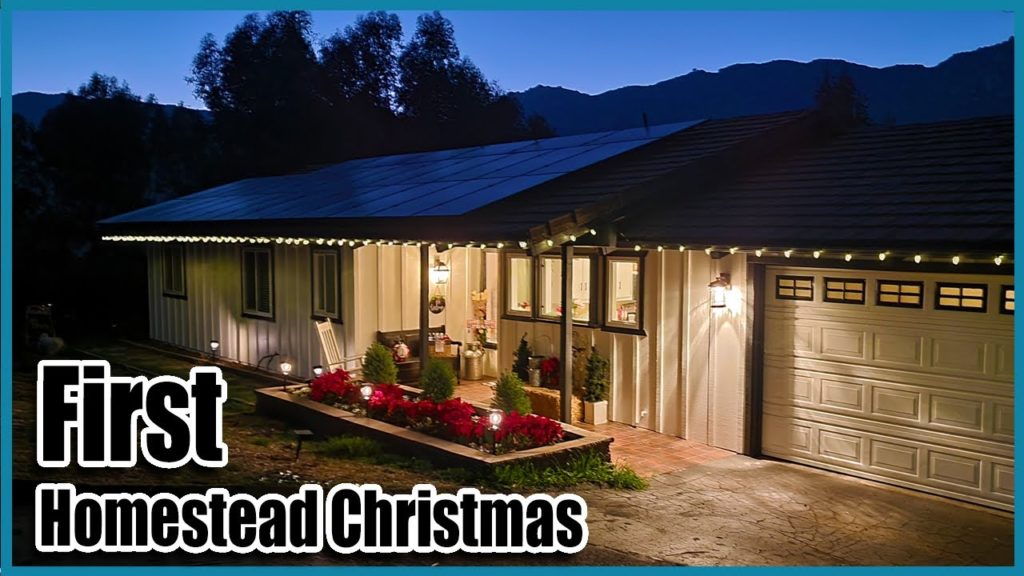 It Took Over 40 YEARS to Finally See This!