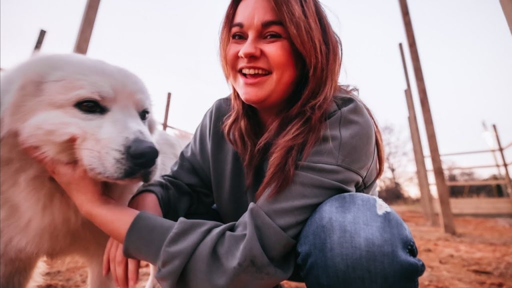 Roots and Refuge Farm: The day after Christmas is for garden planning (Also BARN PROGRESS!) | VLOG The day after Christmas is for garden planning (Also BARN PROGRESS!) | VLOG
