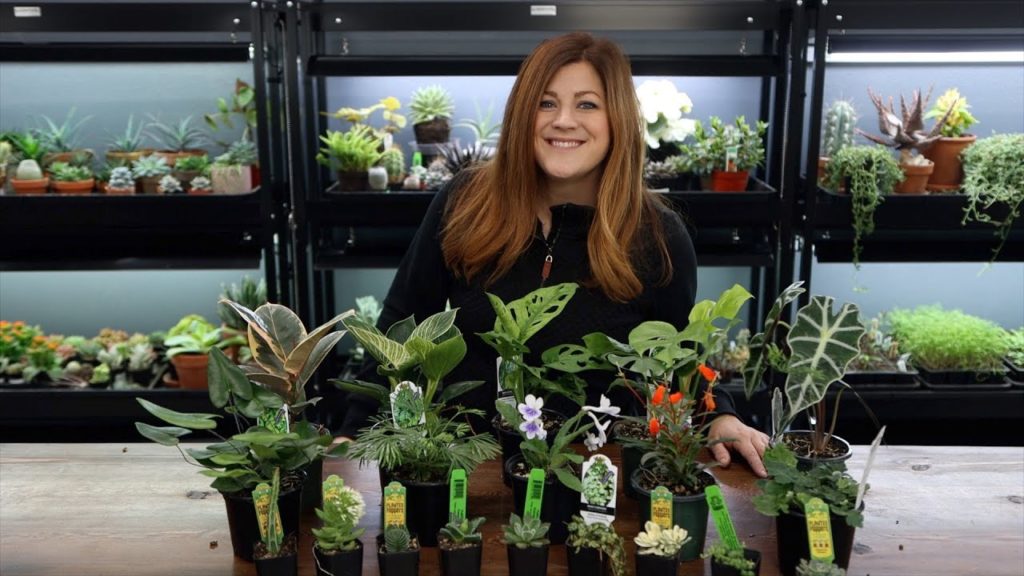 Garden Answer: Huge Houseplant Unboxing! 🌿// Garden Answer Huge Houseplant Unboxing! 🌿// Garden Answer