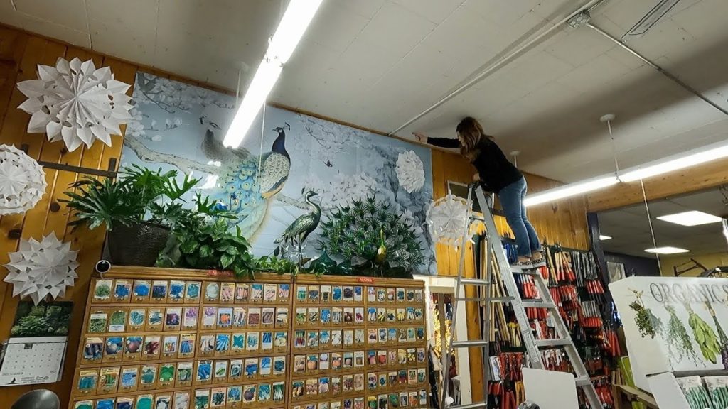 Making New Window Decorations for the Garden Center! ❄️❄️❄️ // Garden Answer