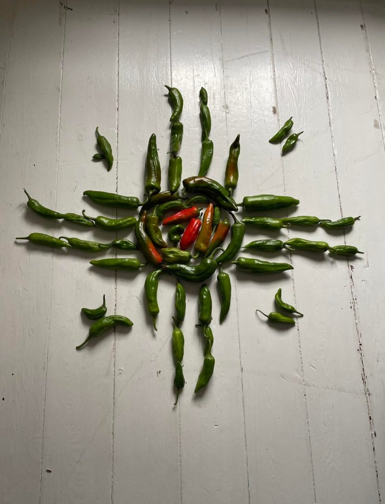My New Mexican green chiles that I grew in Scandinavia. My little homage to my roots and it only took four years to get it right!