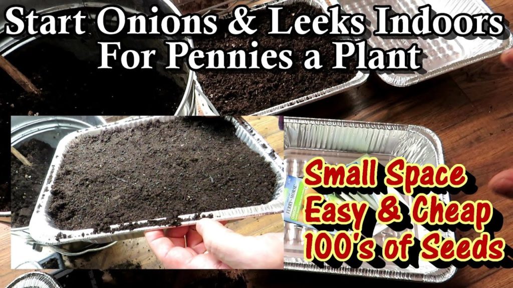 Gary Pilarchik: How to Easily Start 100's of Onion & Leek Seeds in a 1 Foot Square Space: Seed Starting Indoors 101 How to Easily Start 100's of Onion & Leek Seeds in a 1 Foot Square Space: Seed Starting Indoors 101