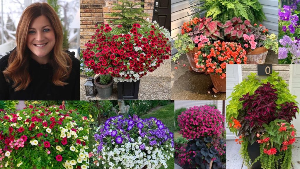 Garden Answer: Summer Flower Combination Ideas 🌿 // Garden Answer Summer Flower Combination Ideas 🌿 // Garden Answer