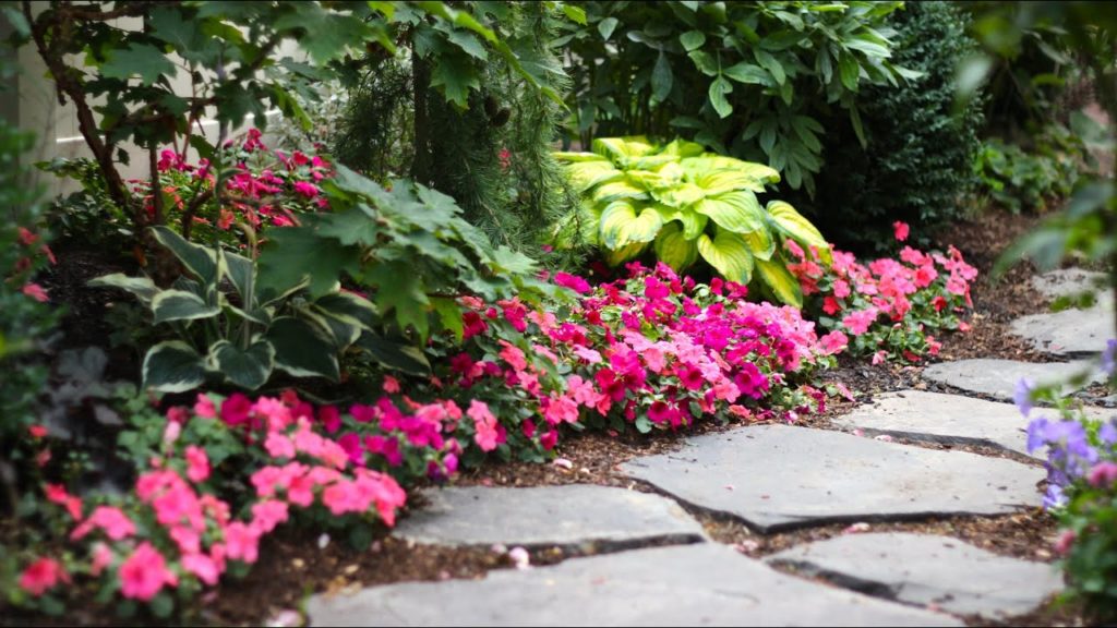 Narrow Side Yards! 🌿