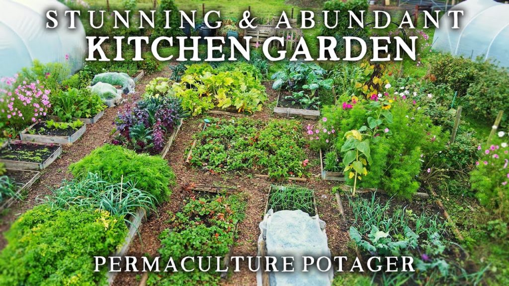 Huw Richards: Hugely Productive No Dig Kitchen Garden | Inspring Raised Bed Growing Hugely Productive No Dig Kitchen Garden | Inspring Raised Bed Growing