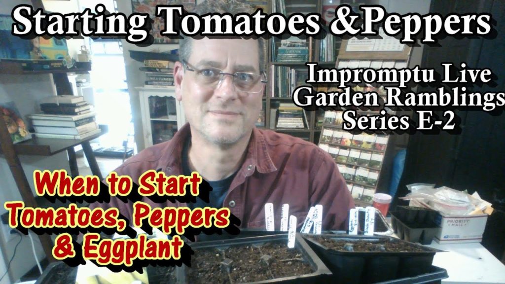 Gary Pilarchik: Seed Starting Indoors 101: Seed Starting Tomatoes, Peppers & Eggplant: Impromptu Live Ramblings E-2 Seed Starting Indoors 101: Seed Starting Tomatoes, Peppers & Eggplant: Impromptu Live Ramblings E-2