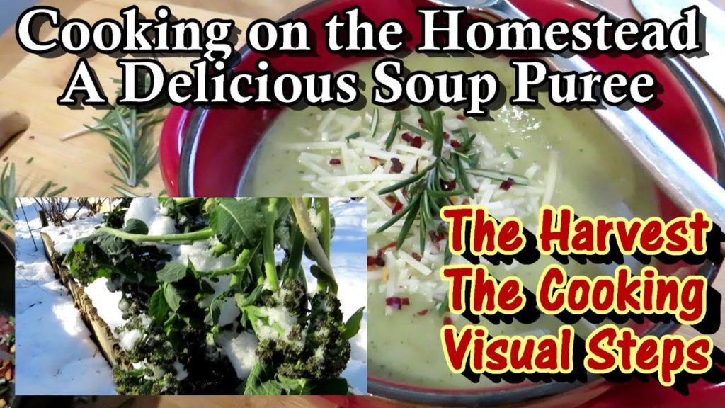 Gary Pilarchik: Cooking on the Homestead: Making Broccoli, Turnip & Potato Soup Puree from Winter Frozen Vegetables Cooking on the Homestead: Making Broccoli, Turnip & Potato Soup Puree from Winter Frozen Vegetables
