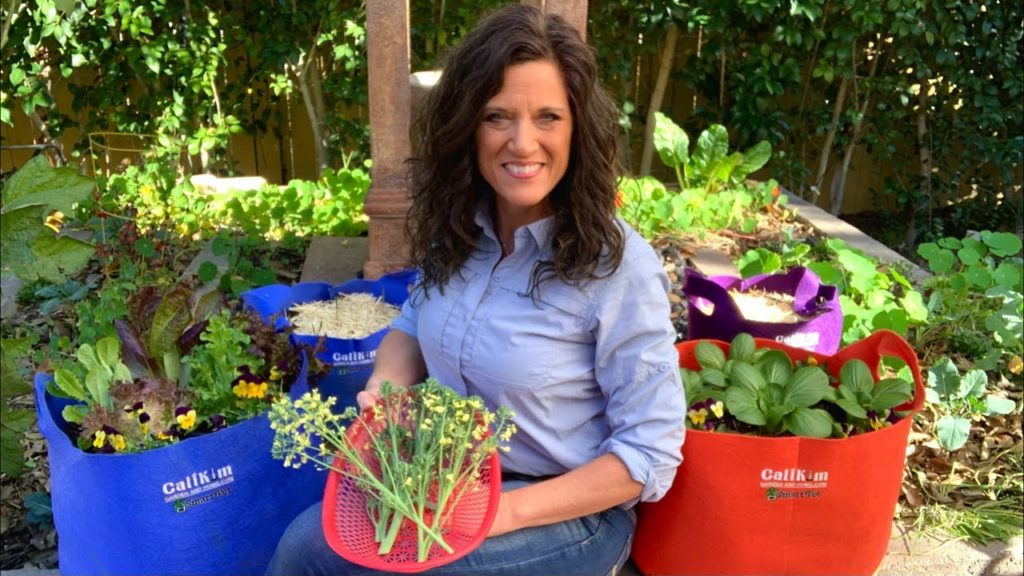 CaliKim: 🍅LIVE: January Vegetable Garden To Do List (For Any Climate) REPLAY 🍅LIVE: January Vegetable Garden To Do List (For Any Climate) REPLAY