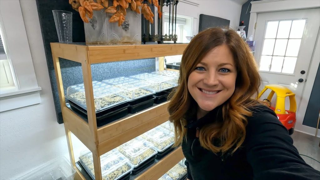 Starting Hardy Perennial Seeds & Planting Salad Greens in the Greenhouse! 🌿🙌💚 // Garden Answer