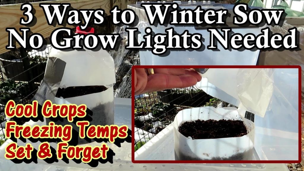What is Winter Sowing and How Do You Do It - Made Easy:  The Milk Jug, Pet Food Container & The Tote