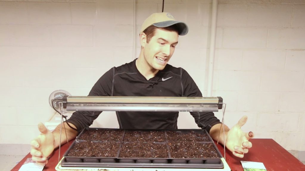 MIgardener: Earlier IS NOT Always Better When Starting Seeds Indoors! Earlier IS NOT Always Better When Starting Seeds Indoors!