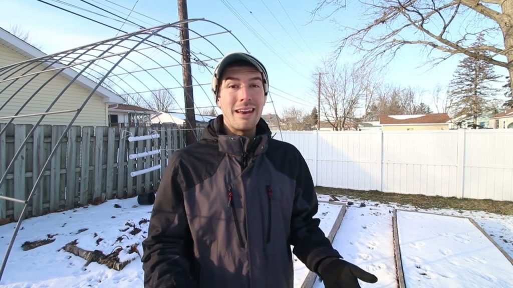Should You Water The Garden In Winter?