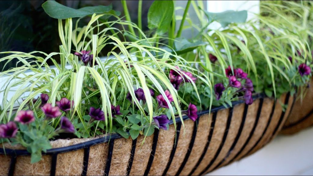 Garden Answer: Sun/Shade Window Basket Sun/Shade Window Basket