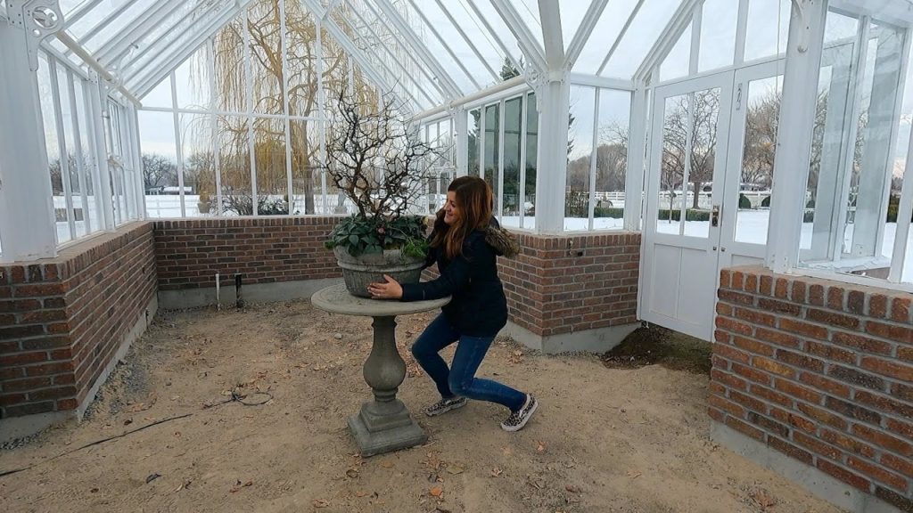 Winter Arrangement for the Hartley, Greenhouse Plant Maintenance & Cucumber Salad! ❄️🌿🥒