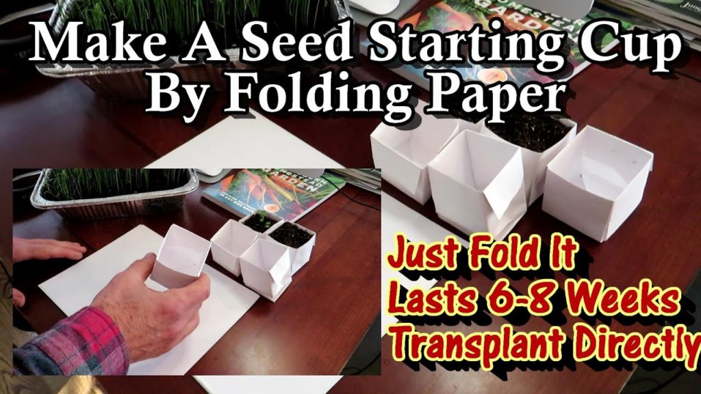 Gary Pilarchik: How to Make Seed Starting Cups by Folding a Sheet of Paper: All the Steps Explained! How to Make Seed Starting Cups by Folding a Sheet of Paper: All the Steps Explained!