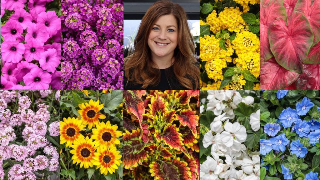 Garden Answer: New Annuals for 2022 🌿🌺🌸🌼// Garden Answer New Annuals for 2022 🌿🌺🌸🌼// Garden Answer