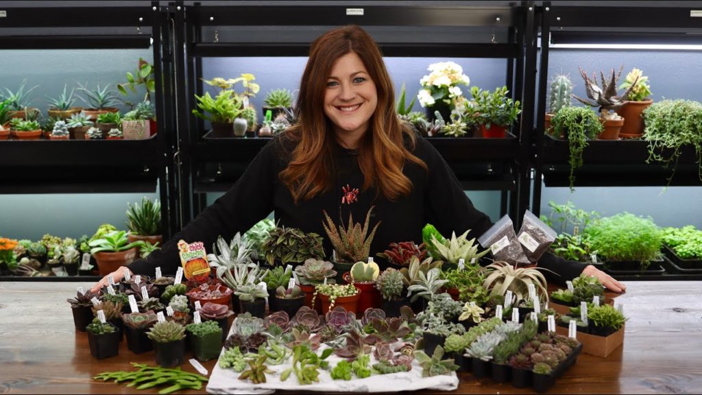 Succulent Unboxing!!! 🌵📦💚 // Garden Answer