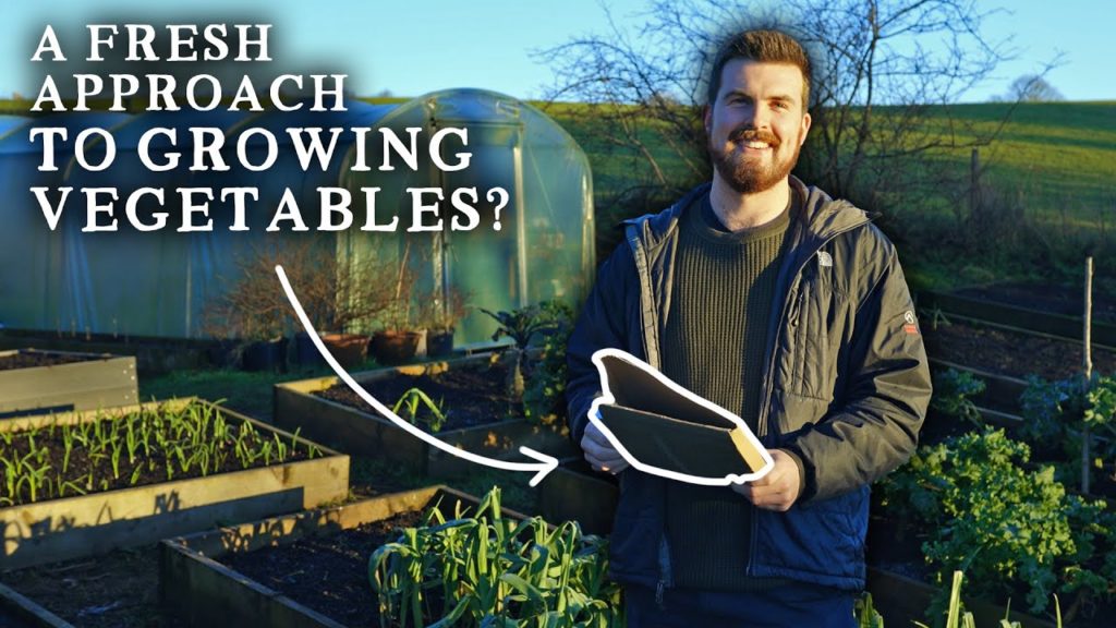 Huw Richards: FIRST LOOK! The Vegetable Grower's Handbook | NEW BOOK to Help Unearth Your Garden's Full Potential FIRST LOOK! The Vegetable Grower's Handbook | NEW BOOK to Help Unearth Your Garden's Full Potential