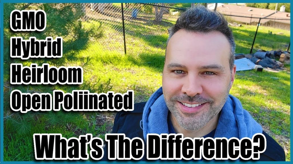 What Seeds are SAFE to Grow?