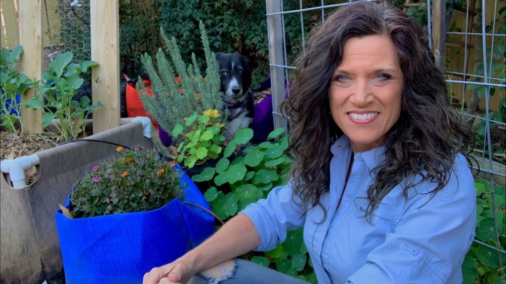 🍅LIVE: Trellising, Vertical Gardening Tips for Doing it on the Cheap (REPLAY)