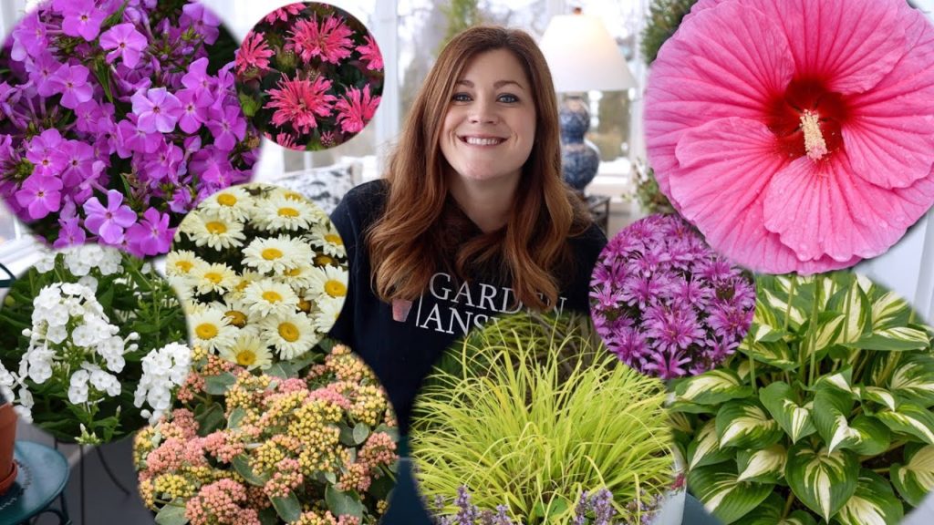 Garden Answer: Brand New Perennials in 2022! 🌿😍🙌 // Garden Answer Brand New Perennials in 2022! 🌿😍🙌 // Garden Answer