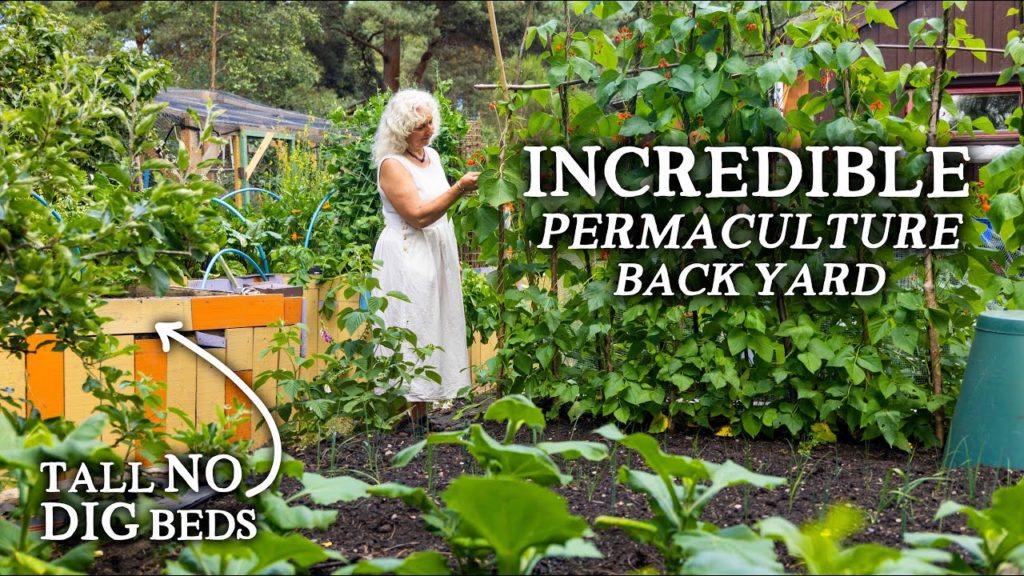 Huw Richards: Amazing Tiny Vegetable Garden with Year-Round Abundance! | A Mini Permaculture Oasis Amazing Tiny Vegetable Garden with Year-Round Abundance! | A Mini Permaculture Oasis