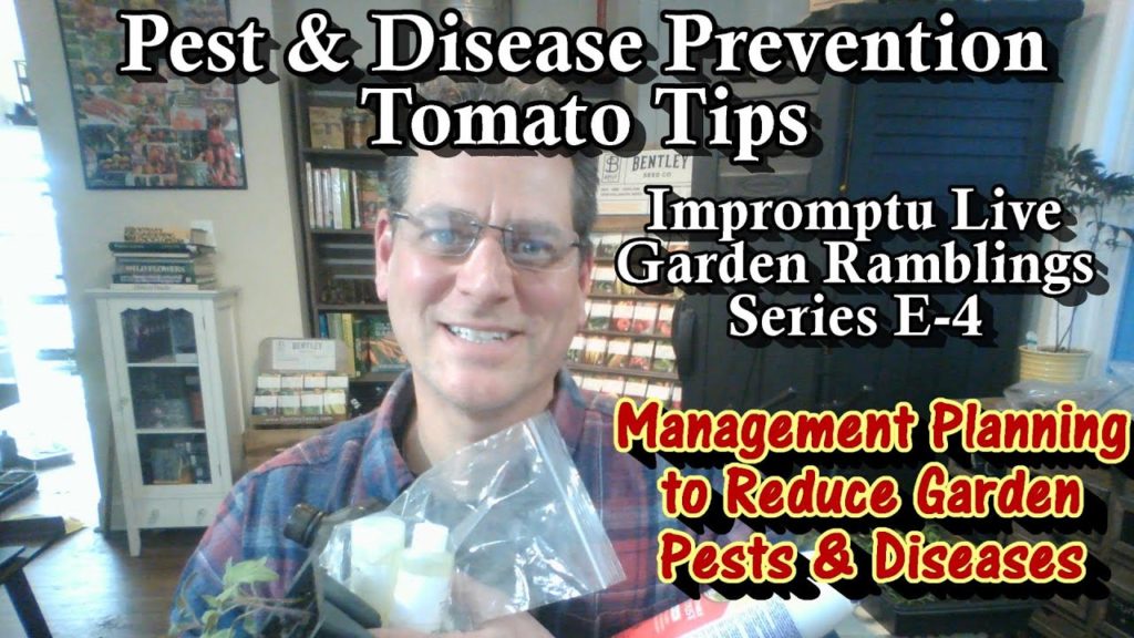 Insect & Disease Prevention & Management and Tomato Starting Tips:  Impromptu Live Ramblings E-4