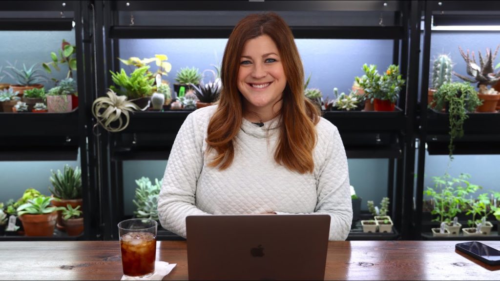 What Do You Do If a Plant Shipment Has Bugs? // What Did You Give Your Mom for Christmas? // Recap 🌿