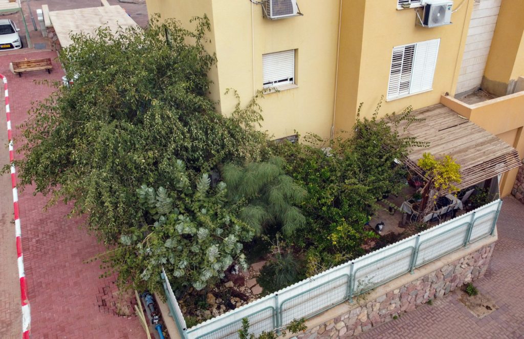I got a new drone. Here's a bird's-eye view of my little desert garden.