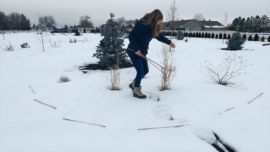 Garden Answer: Planting Poppies In the Snow! 🌸❄️💚 // Garden Answer Planting Poppies In the Snow! 🌸❄️💚 // Garden Answer
